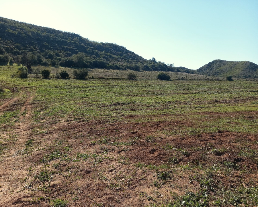 Commercial Property for Sale in George Rural Western Cape
